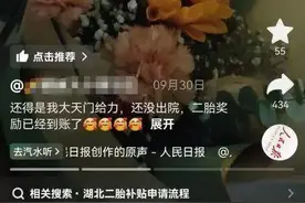 湖北一双胞胎宝妈喜获7万余元奖励，围观网友既羡慕又惊讶图片