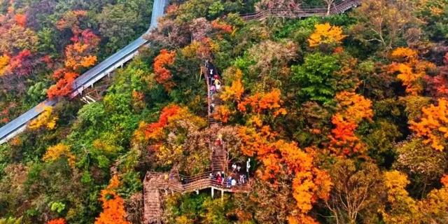 亮相央视！洛阳这些赏秋地，太美！