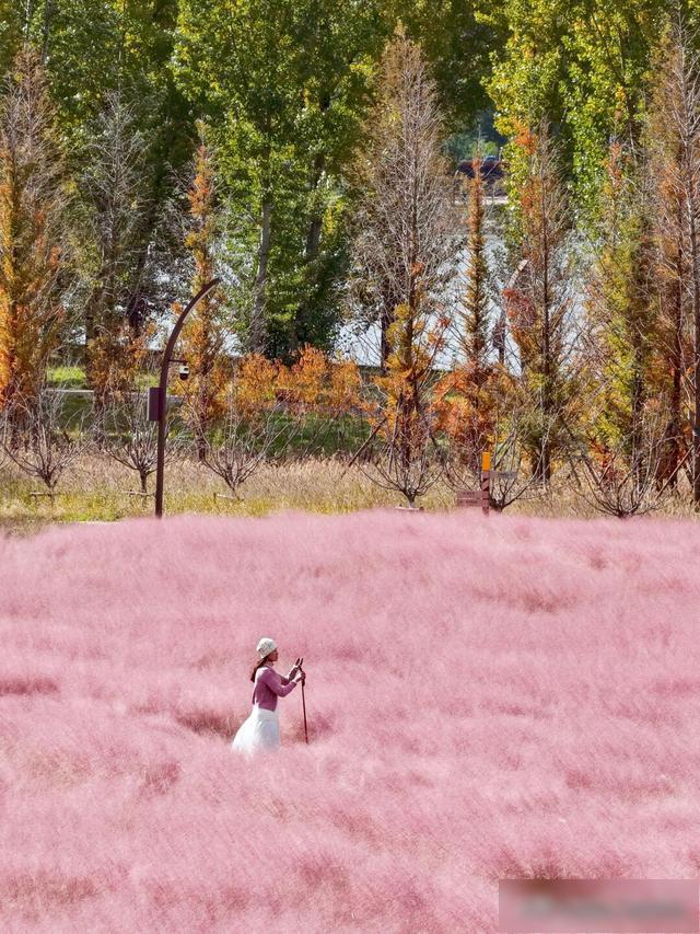 【乐游烟台】烟台这10个神仙公园，我逢人就夸