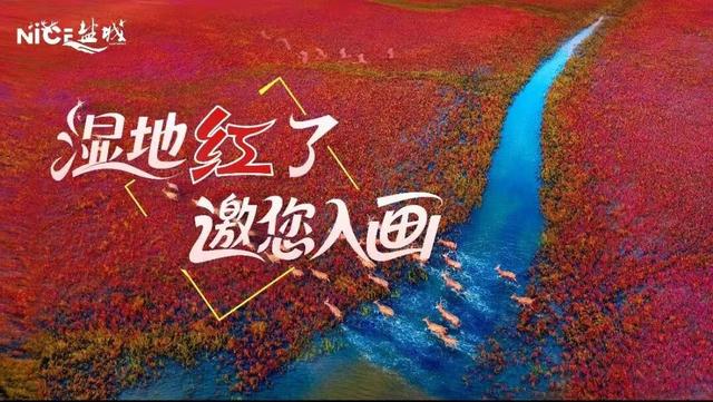 一路秋色一路景，走起~