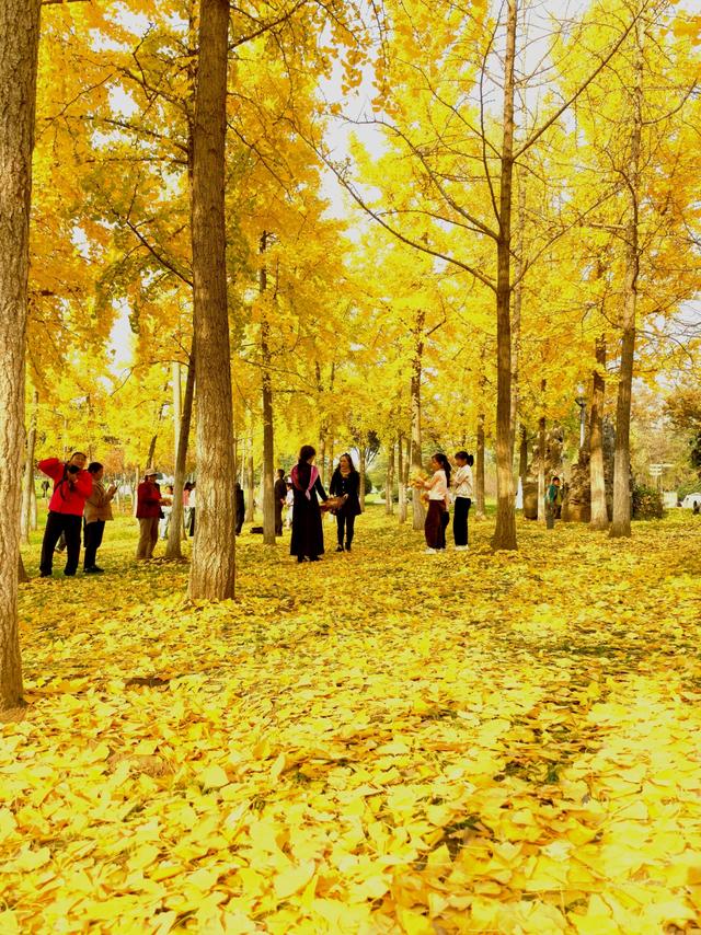 宿来拍丨五彩斑斓