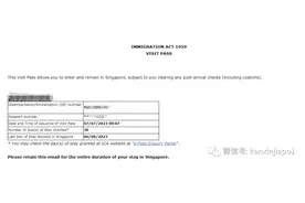 从印尼入境新加坡没有在中国护照上盖入境章，如何补办？图片