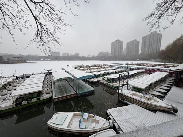 京城初雪！一大波雪景美图来了