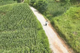 南京名校老教师用爱托举乌蒙山孩子“出山”图片