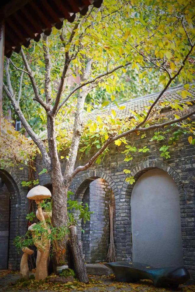 来东城这个胡同小院，邂逅蘑菇精灵的童话秘境——