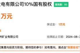 底价1元！山能挂牌转让贵州华电塘寨发电公司10%股权图片