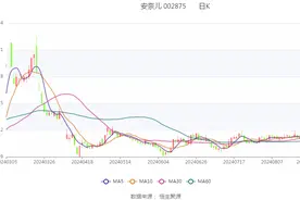 安奈儿：2024年上半年亏损3007.91万元图片