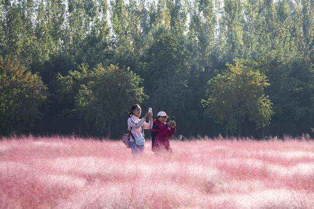 秋声渐杳 斑斓成诗#