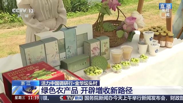 活力中国调研行丨“垃圾村”→网红打卡湿地 一个村落的“绿色升级”