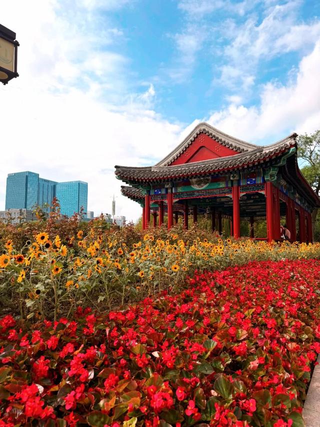 打卡人超多！小编实探：通州这个知名公园景观焕新升级，还藏着一处惊喜......