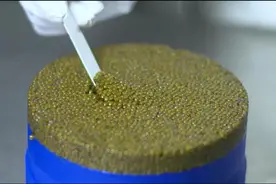 从舶来品变“本土特产”：中国鱼子酱海外供不应求，国内消费仍待培育图片