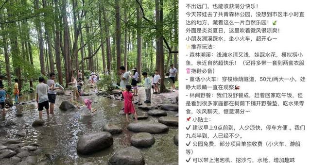 溯溪正流行，魔都也有都市版溯溪！从温室热带雨林的嬉水浅滩到Plus版白沙滩，玩出夏天的清凉感