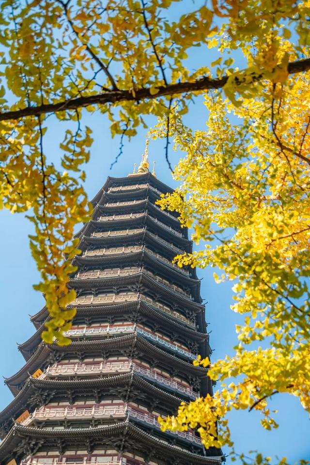 限时绝美！此刻，常州颜值巅峰