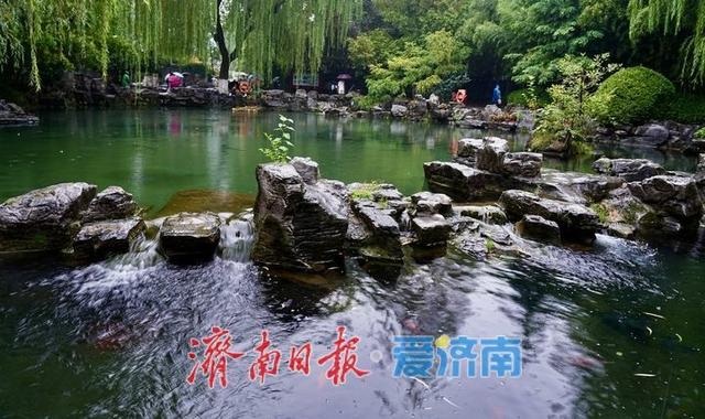 秋分遇秋雨，趵突泉水位七连涨