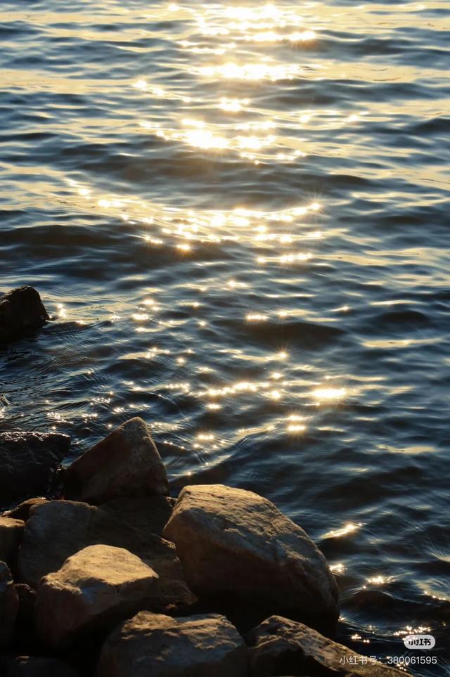 一半秋色在净月潭 另一半在你的镜头里→