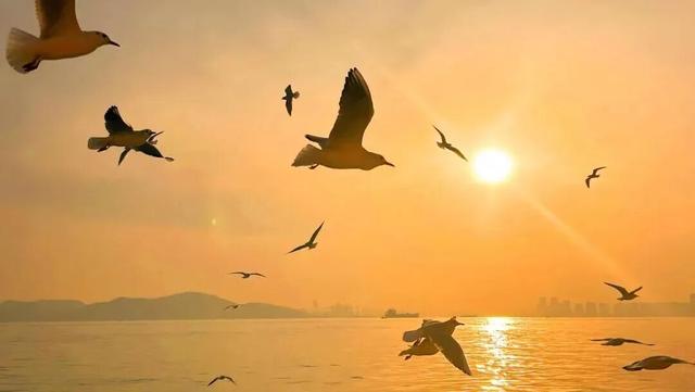 请您喝奶茶！乘船赏海景、打卡超炫灯光秀......来青岛感受金秋暖意吧~