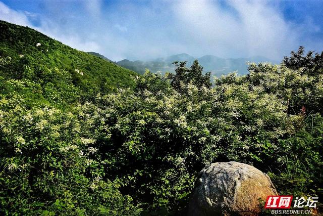 高清湖南丨云来云去处，我在天龙山邂逅山河之美