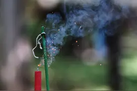 蚊香+鞭炮，赛过稻草人！青岛葡萄园里端出驱鸟“神器”，映出农人护鸟善心图片