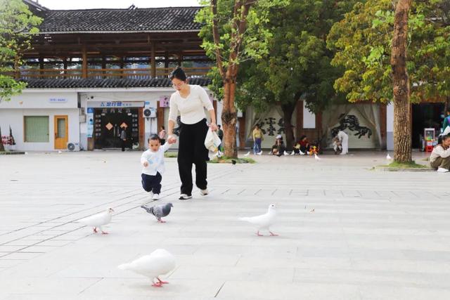 天气真好，一起出门透透气吧~