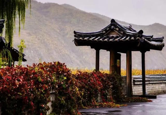 一路秋色一路景，图们走起！