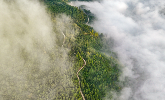 晨雾锁山道 朝阳暖山乡