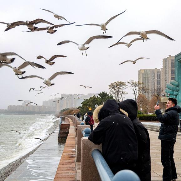 雪海浪漫！冬日威海邀您一起“画中游”