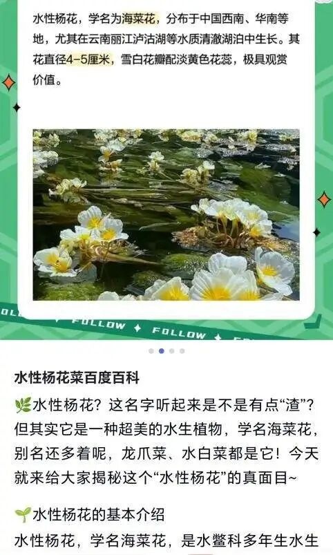 巴奴新菜品“水性杨花”引争议!