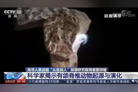 女科学家把3cm鱼骨切了500多片 研究证明人类起源于鱼图片
