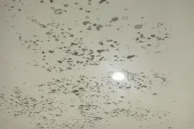 女子新购精装修房检出箍筋外露等问题要求退房被拒，开发商：以法院判决为准图片