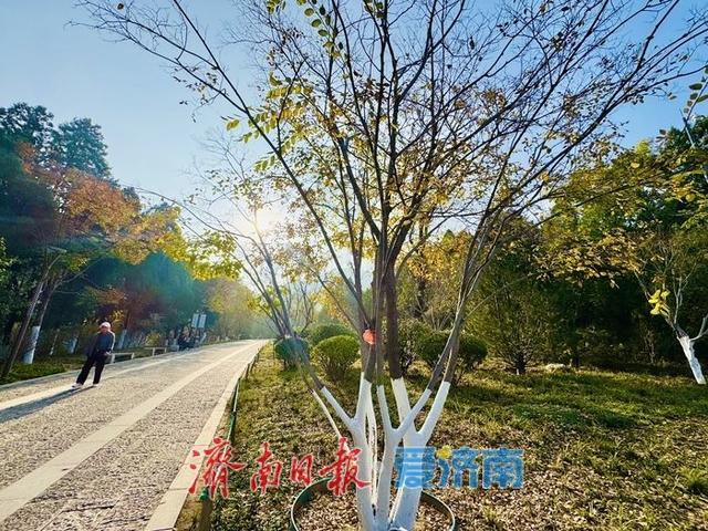 一年四季 泉在济南丨暖阳映彩林 游人赏景忙