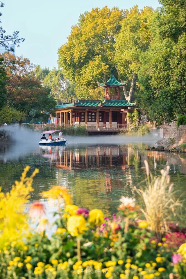 2025武汉菊展17大展区地点官宣！超全赏花攻略+亮点抢先看→