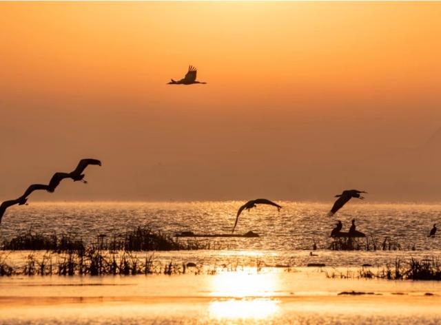 从“杜鹃花海”到“四季常青” 毕节破解“季节限定”难题