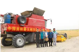 中吉乌铁路要来了！山东企业攻略新疆图片