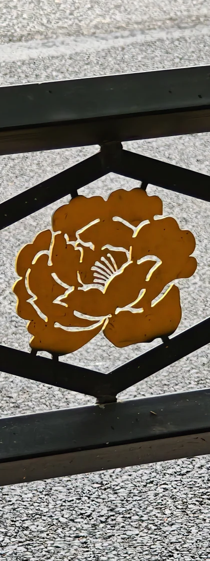 起猛了，我在洛阳被「牡丹」包围了！