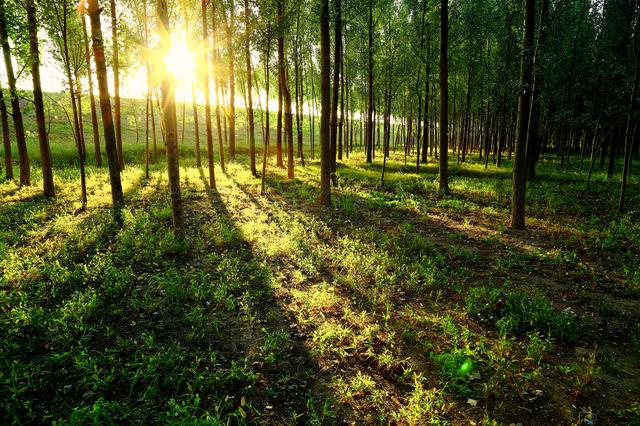“山东邂逅美”摄影大赛｜孙武湖畔景色美