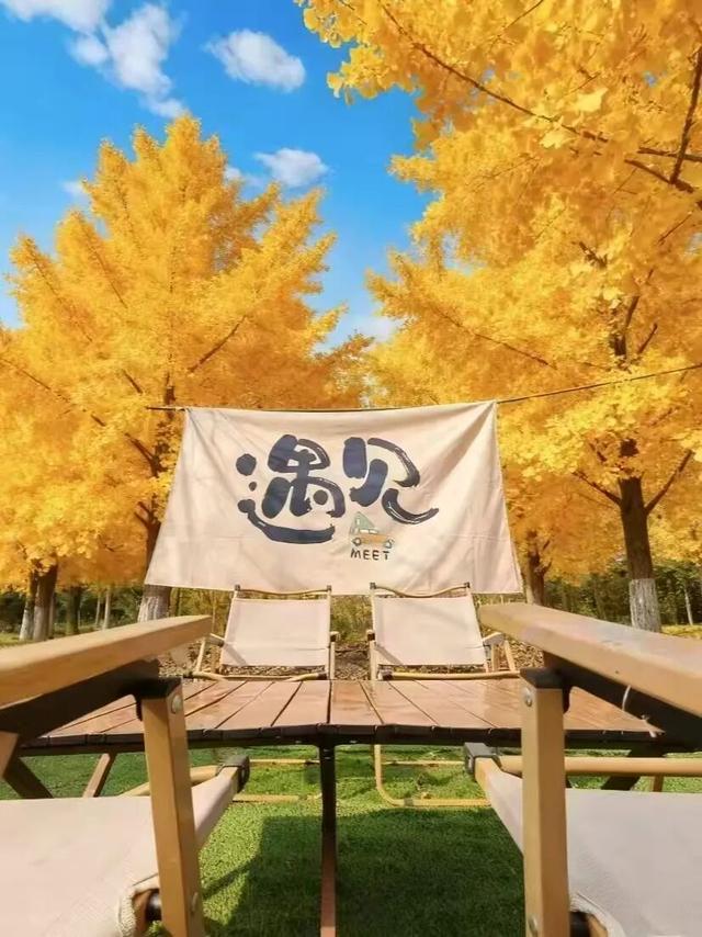 双流这些地方，让我忘了羽绒服！