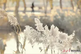 【节气里的大美中国·山河甘肃】大寒图片