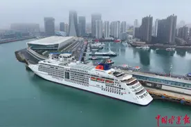 年度最大，入境山东！还有“网红”也将到青岛图片