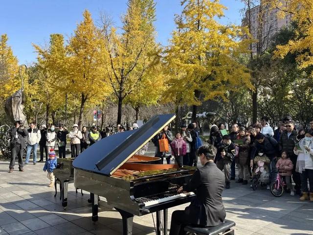 金色长廊加载中！静安这条道路银杏渐入佳境↑