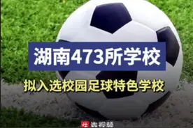 湖南473所学校拟入选全国青少年校园足球特色学校，有你的学校吗？图片