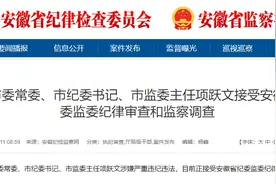 蚌埠市纪委书记项跃文被查图片