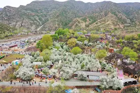 “五一”假期文旅热度创近3年新高，入境游订单飙升130%图片