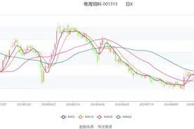 粤海饲料：2024年上半年亏损4797.74万元图片