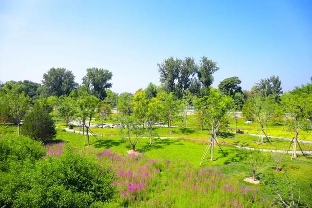 海淀区圆明园附近的“小而美”公园，您来过吗？