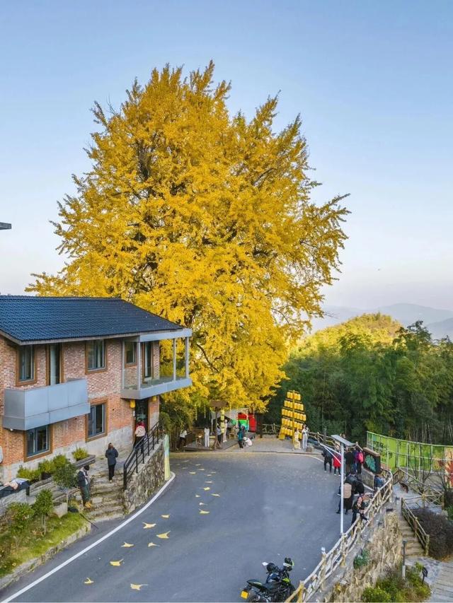 如画江西的冬日惊喜，是什么样子的？