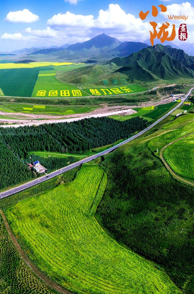 【小陇画报·387期】民乐油菜花海 金色波浪美翻整个夏天