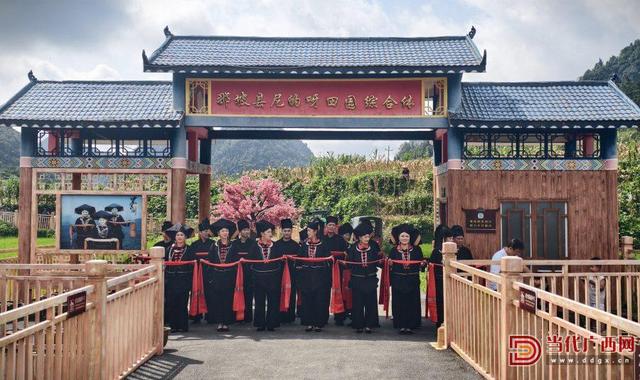 探访那坡尼的呀田园 看交通助力民族文化地绽放