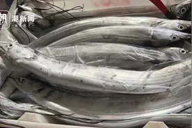 舟山为带鱼专门办了一个节 周国辉：海产丰富的当下更要珍惜和保护生态环境图片