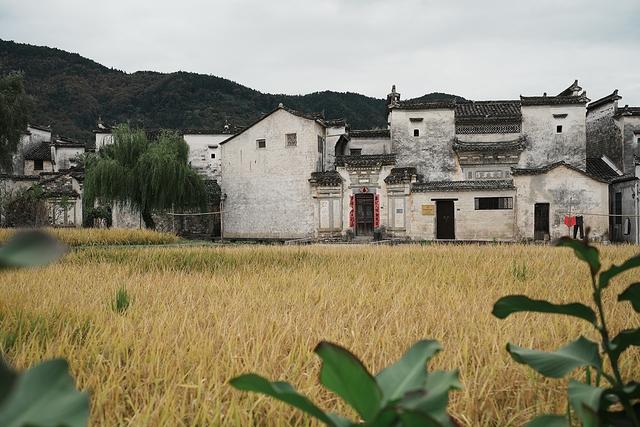 碧山十年：为何我们需要失败的乌托邦？