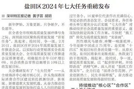 锚定高质量，澎湃新动能！盐田区2024年七大任务重磅发布图片